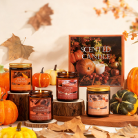 Wholesale 4-Pack Autumn Scented Soy Wax Candle Gift Set Pumpkin Spice, Caramel & Cinnamon Fragrance Candles for Cozy