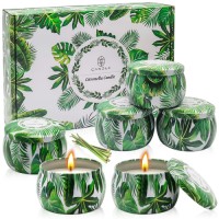 Wholesale 6 Pack Citronella Scented Candles in Green Tin Natural Soy Wax Mosquito Repellent Candles