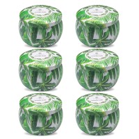 Wholesale 6 Pack Citronella Scented Candles in Green Tin Natural Soy Wax Mosquito Repellent Candles