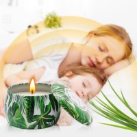 Wholesale 6 Pack Citronella Scented Candles in Green Tin Natural Soy Wax Mosquito Repellent Candles