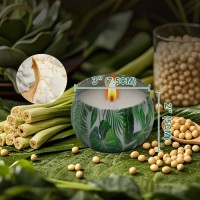 Wholesale 6 Pack Citronella Scented Candles in Green Tin Natural Soy Wax Mosquito Repellent Candles